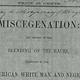 "Miscegenation: The Theory of the Blending of the Races, Applied to the American White Man and Negro," an 1863 pamphlet